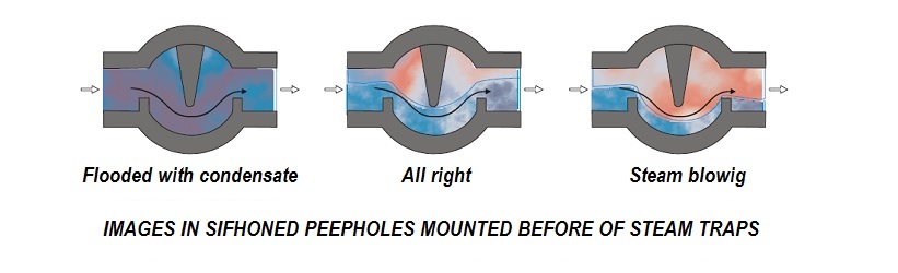Steam trap inspection using a sight glass
